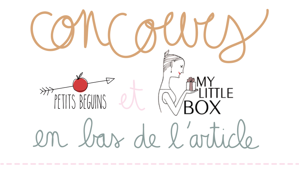 S'mores - Recette - My Little Box - Petits Béguins