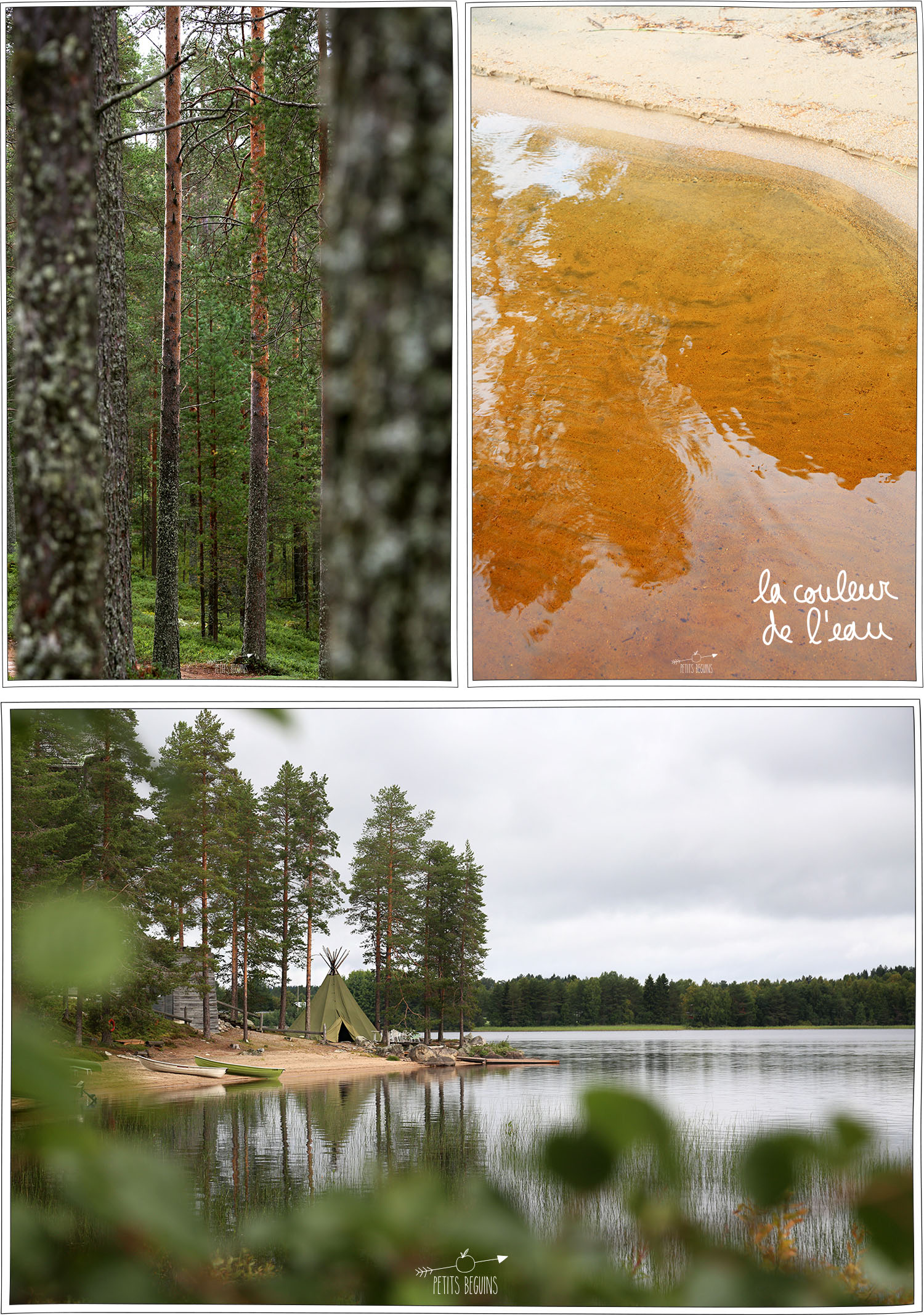 Visit Finland - Hossa - Carnet de voyage - Petits Béguins