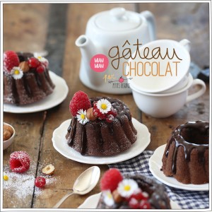 Gâteau au chocolat - Recette sans lactose - Petits Béguins