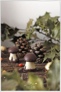 Chocolats de Noël - Michel Cluizel- Petits Béguins