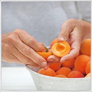 Confiture d'abricot de Maman - Recette - Petits Béguins
